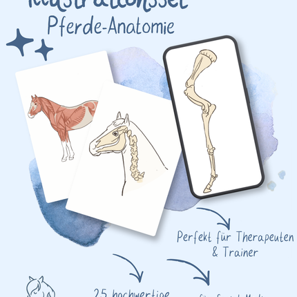 Collection image for: Illustrations-Sets