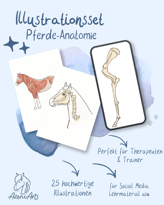 Illustrations-Set mit 25 Abbildungen Pferd (Anatomie, Wissen)
