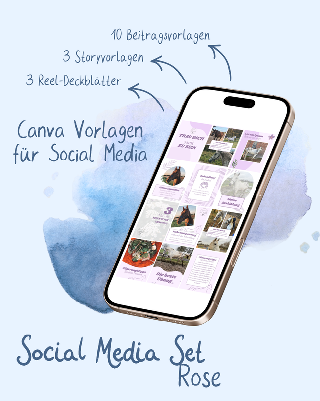 Canva Vorlagen – Social Media Set Rose