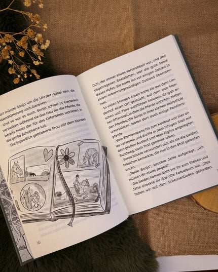 Buch: "Jette & Claire - Das Geheimnis des Möwenhof"