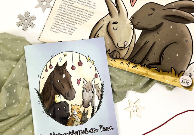 Adventsgeschichte Heft mit 5 Kapiteln