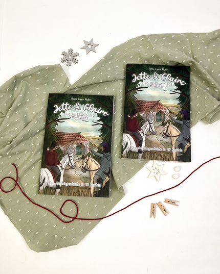 Adventsgeschichte "Jette und Claire - Das Geheimnis des Möwenhofs"