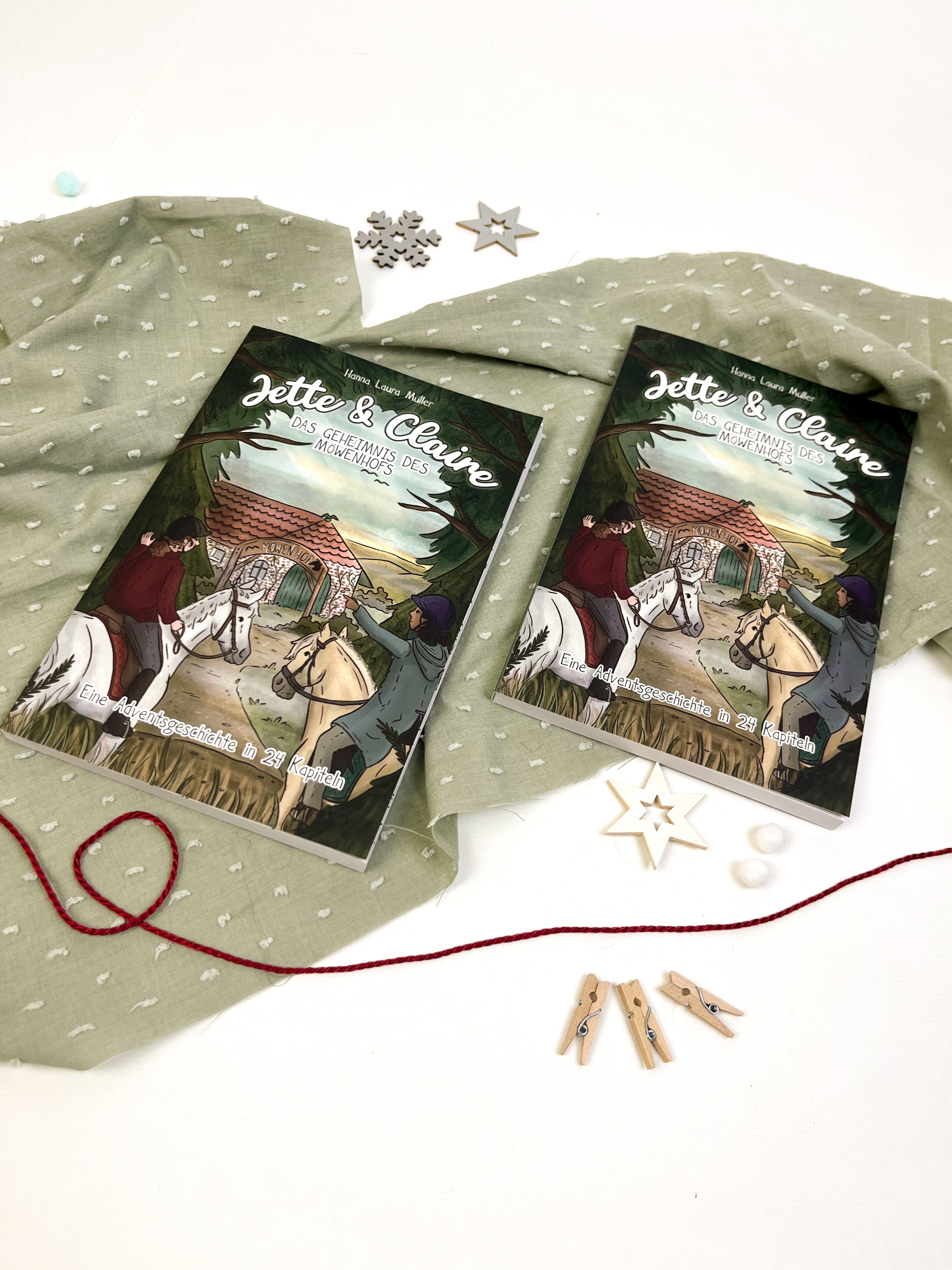 Adventsgeschichte "Jette und Claire - Das Geheimnis des Möwenhofs"