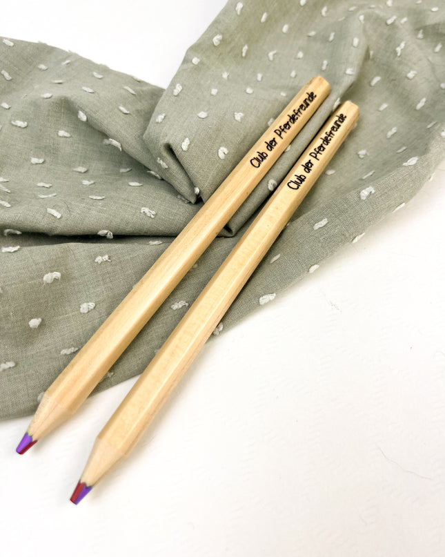 Vierfarbiger Buntstift zum Buch - Freunde auf vier Hufen