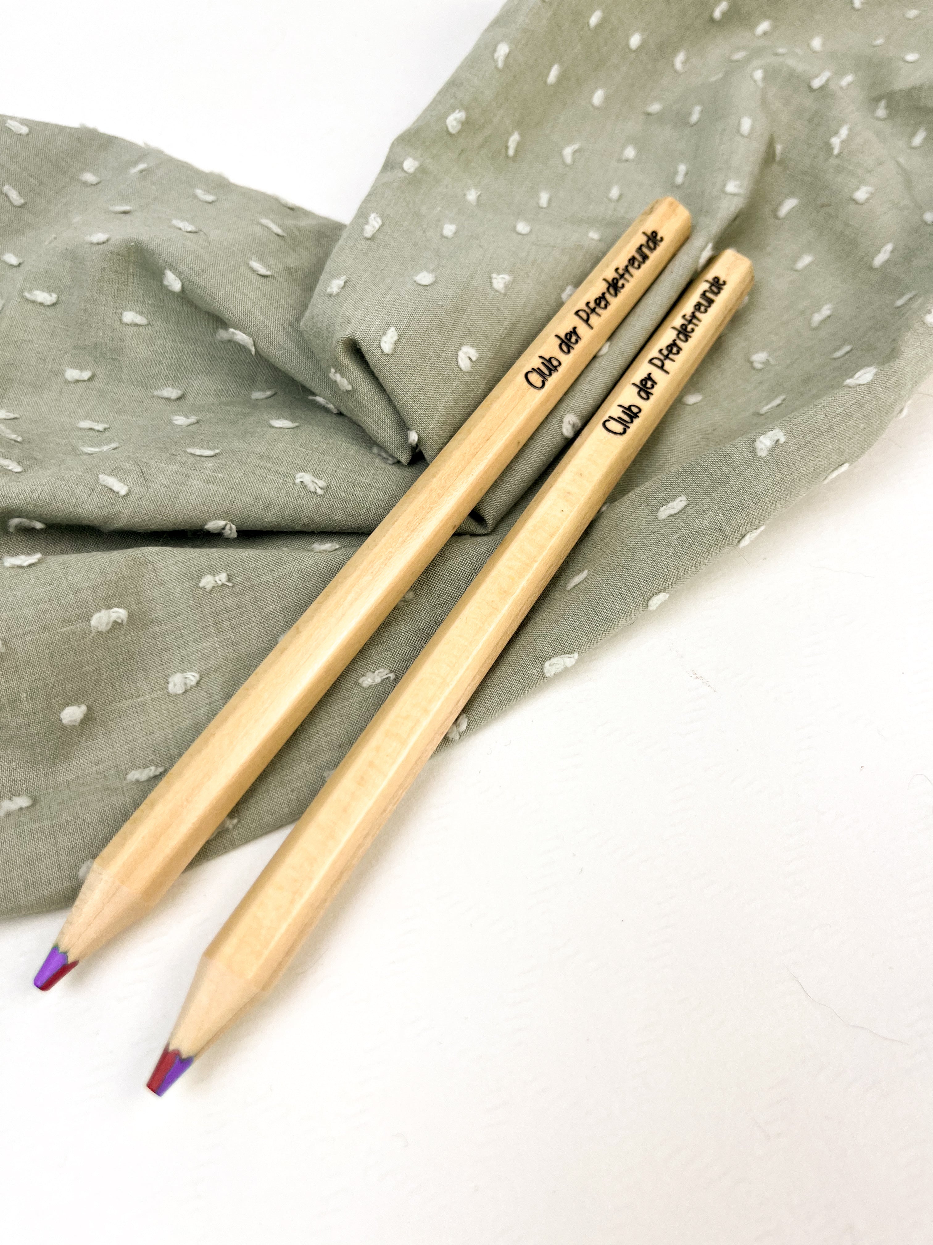 Vierfarbiger Buntstift zum Buch - Freunde auf vier Hufen